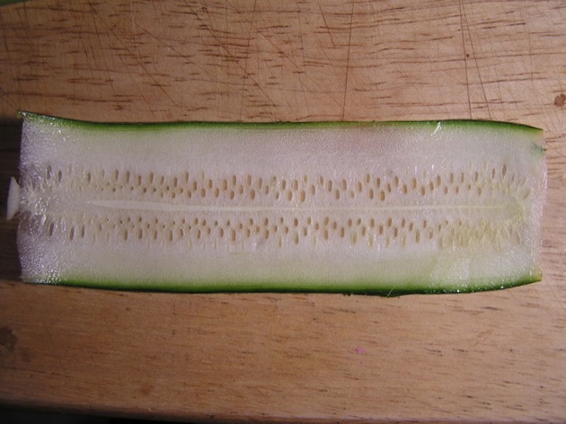 zucchini 02