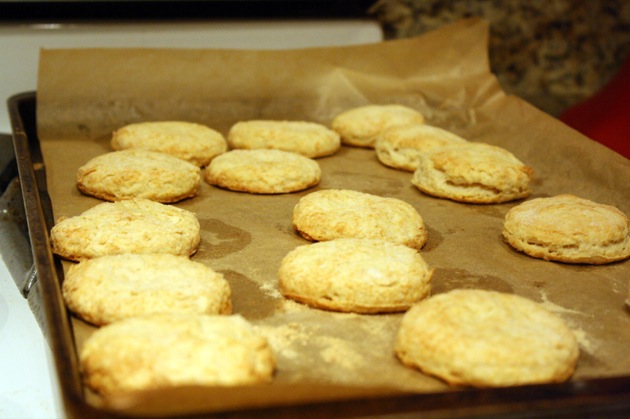 20100514 biscuits